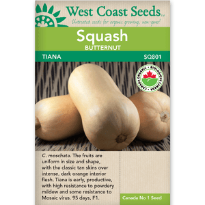 Butternut Squash Tiana Organic - West Coast Seeds