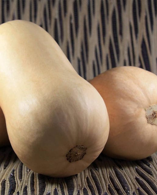 Organic Butternut Squash Tiana - West Coast Seeds