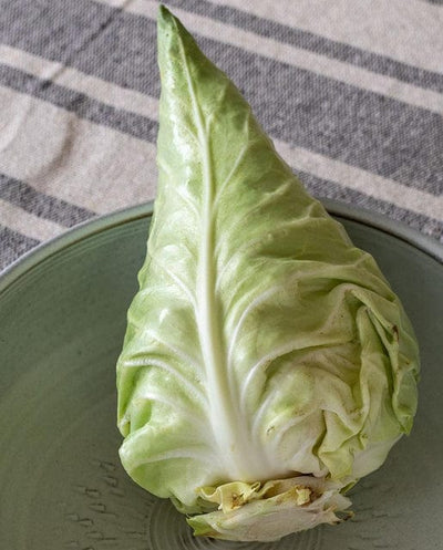 Organic Cabbage Caraflex - West Coast Seeds