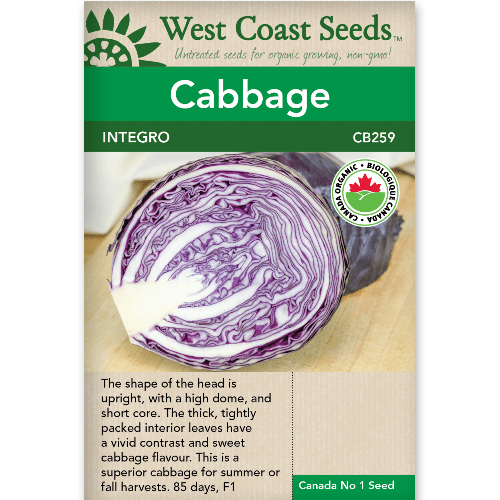 Cabbage Integro Organic - West Coast Seeds