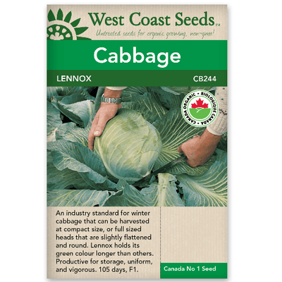 Cabbage Lennox Organic - West Coast Seeds