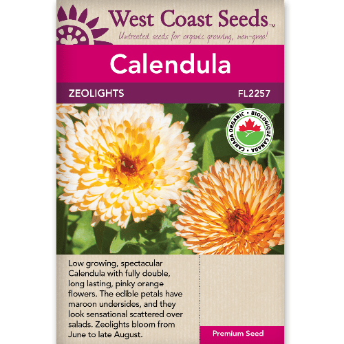 Calendula Zeolights - West Coast Seeds