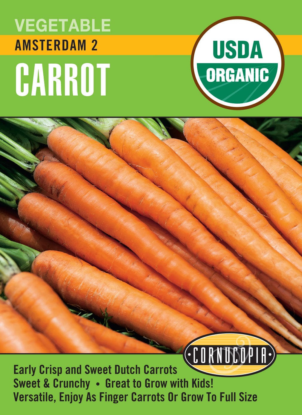 Organic Carrot Amsterdam 2 - Cornucopia Seeds