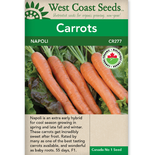 Carrots Napoli Organic - West Coast Seeds