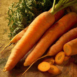 Organic Carrot Scarlet Nantes, Seed Tape - McKenzie Seeds