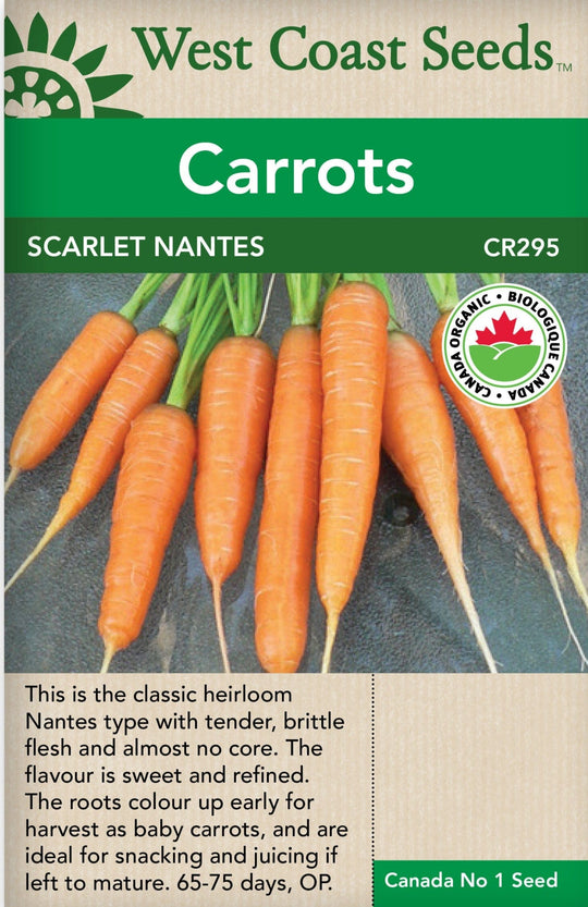 Organic Carrot Scarlet Nantes - West Coast Seeds