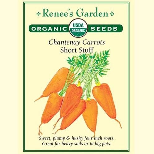 Carrot Short Stuff Chantenay - Renee's Garden Seeds