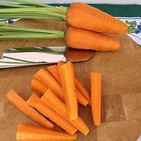 Carrot Short Stuff Chantenay - Renee's Garden Seeds