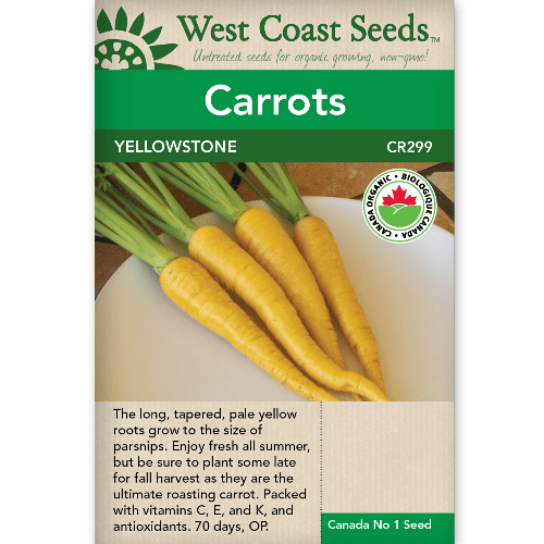 Carrots Yellowstone Organic - West Coast Seeds