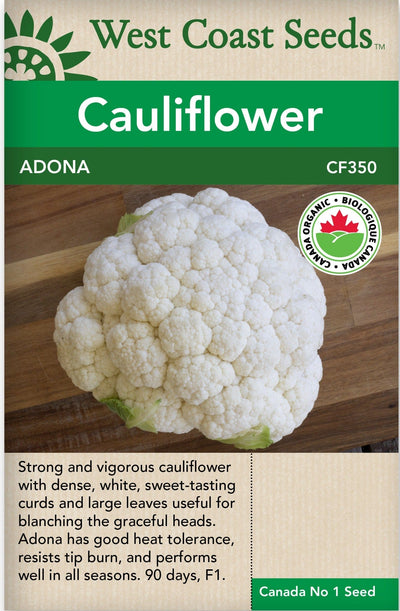 Organic Cauliflower Adona - West Coast Seeds