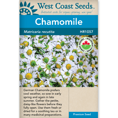 Chamomile Organic - West Coast Seeds