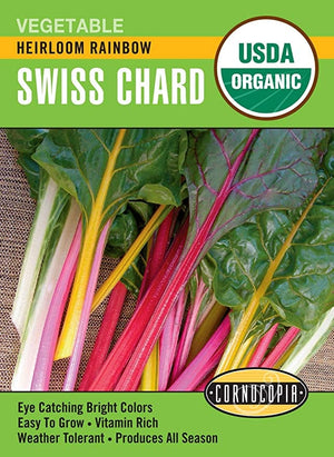 Organic Chard Rainbow Heirloom - Cornucopia Seeds