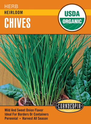 Organic Chives - Cornucopia Seeds