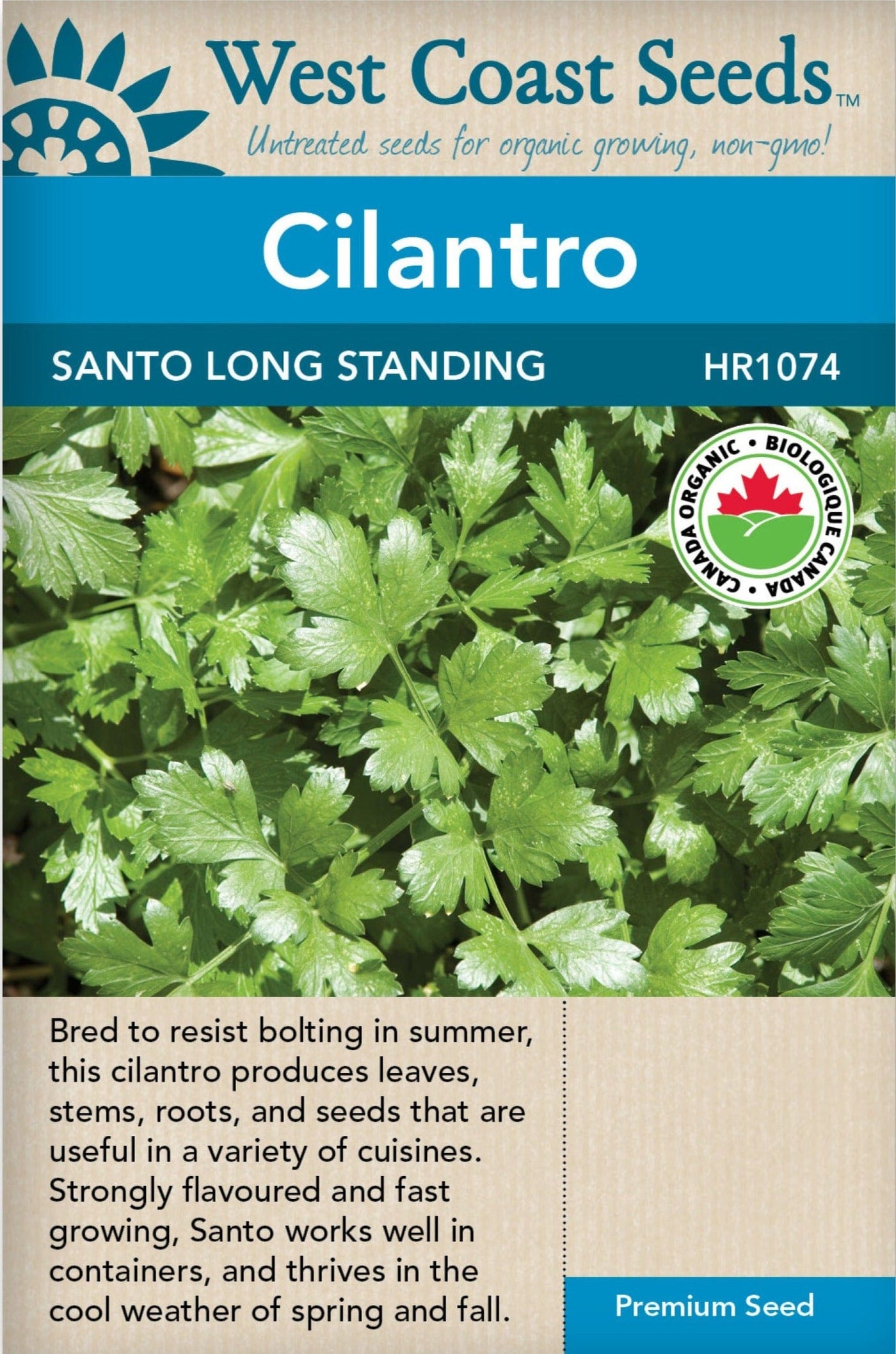 Organic Cilantro Santo - West Coast Seeds