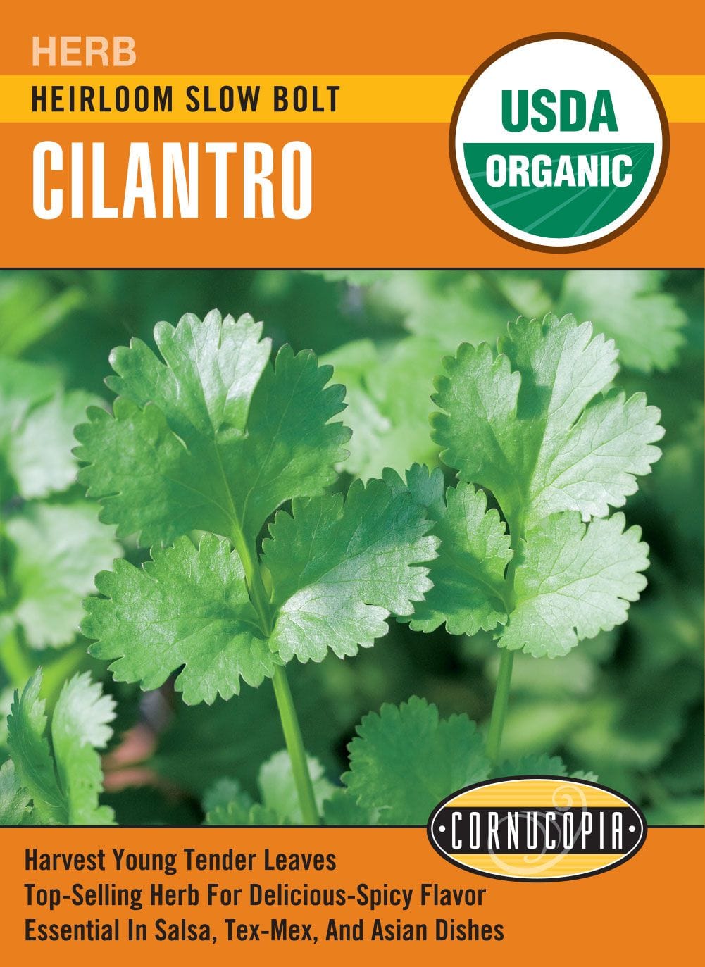 Organic Cilantro Slow Bolt - Cornucopia Seeds