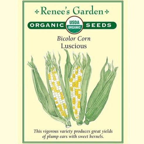 Corn Bicolor Luscious - Renee's Garden Seeds