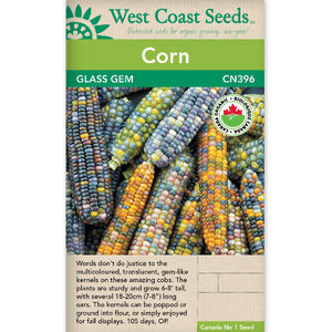 Corn Glass Gem Organic - West Coast Seeds