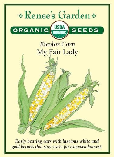 Organic Corn My Fair Lady Bicolor - Renee's Garden
