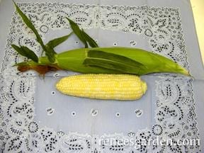 Organic Corn My Fair Lady Bicolor - Renee's Garden