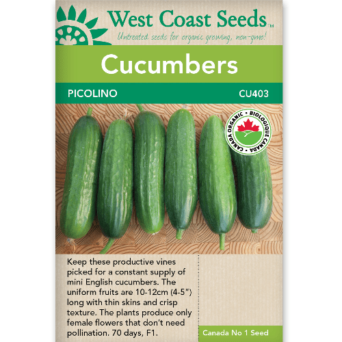 Cucumbers Picolino Organic - West Coast Seeds