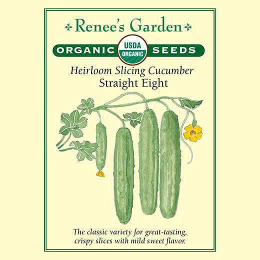 Cucumber Straight Eight - Renee's Garden 