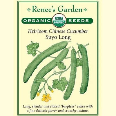 Cucumber Suyo Long - Renee's Garden Seeds
