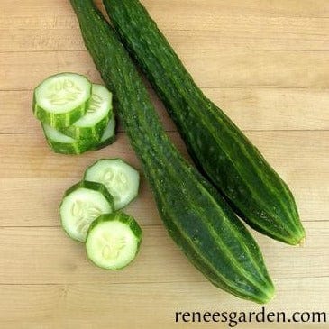 Cucumber Suyo Long - Renee's Garden Seeds