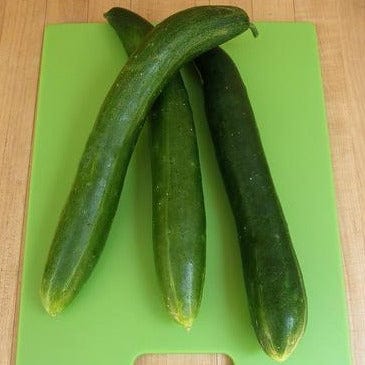 Cucumber Tasty Treat Slicer - Renee's Garden Seeds