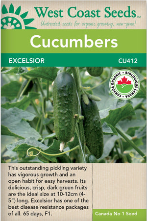 Organic Cucumbers Excelsior - West Coast Seeds