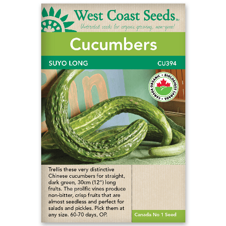 Cucumbers Suyo Long - West Coast Seeds