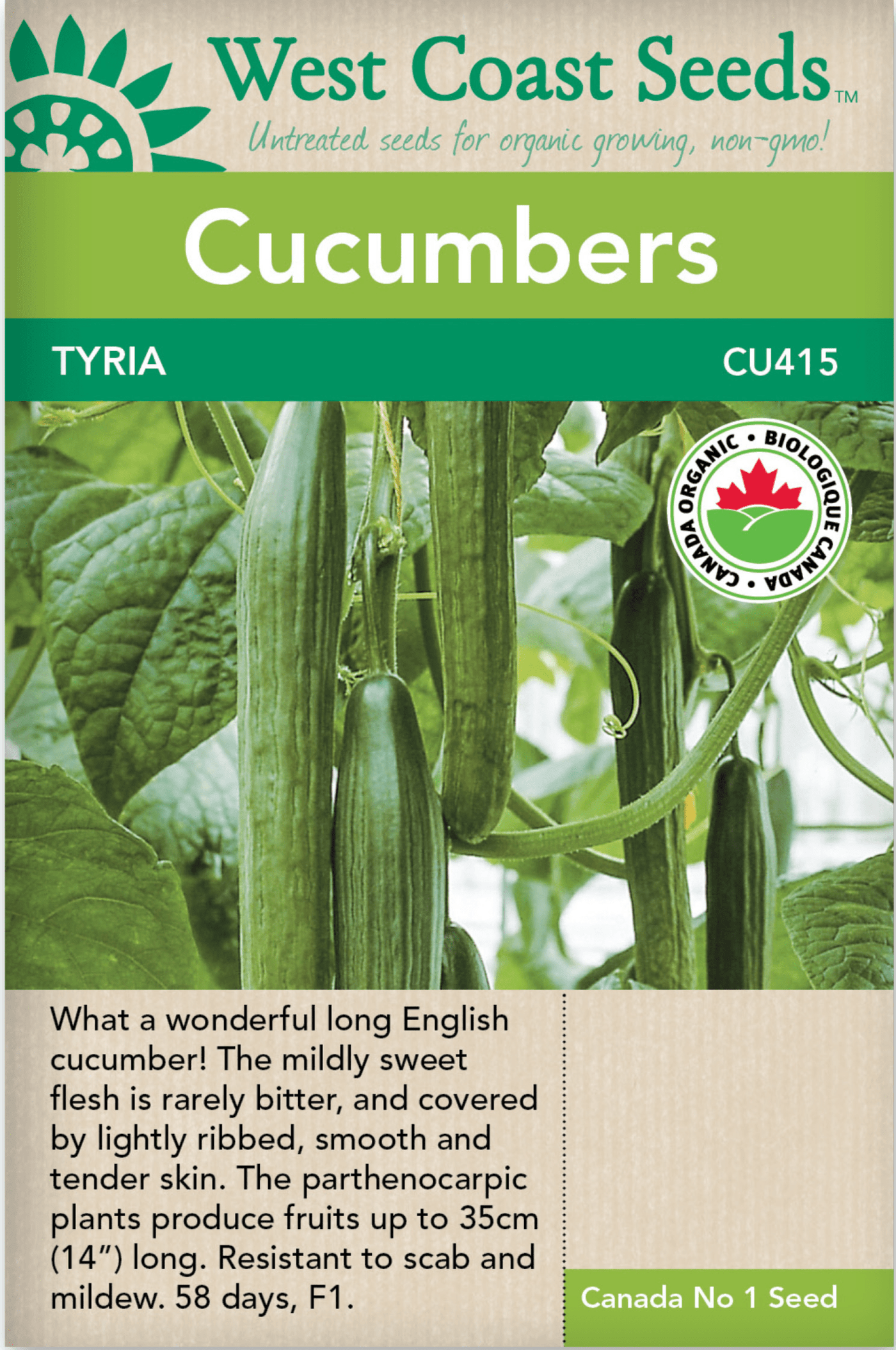 Organic Cucumbers Tyria - Wets Coast Seeds