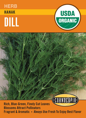 Organic Dill Hanak - Cornucopia Seeds