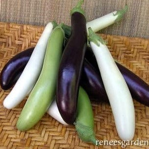 Eggplant Asian Mix - Renee's Garden Seeds