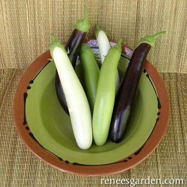 Eggplant Asian Mix - Renee's Garden Seeds