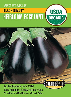 Organic Eggplant Black Beauty - Cornucopia Seeds