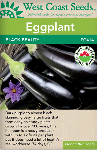 Organic Eggplant Black Beauty - West Coast Seeds