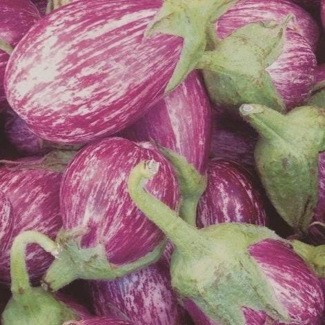 Eggplant Listada di Gandia