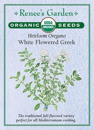 Organic Greek Oregano White - Renee's Garden Seeds