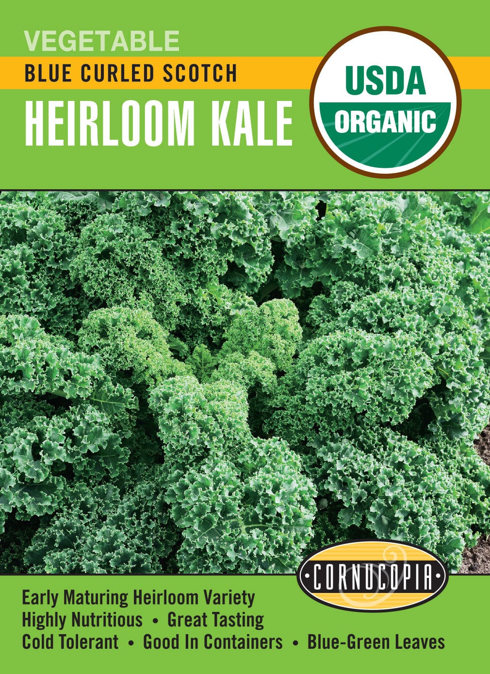 Organic Kale Blue Curled Scotch - Cornucopia Seeds