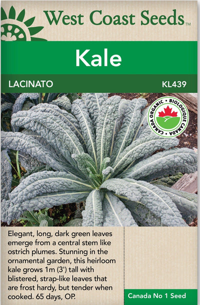 Organic Kale Lacinato - West Coast Seeds