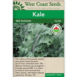 Kale Red Russian Organic - West Coast Seeds