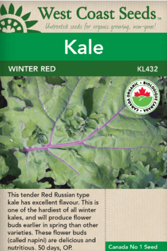 Kale Winter Red Organic - West Coast Seeds