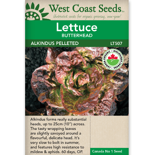 Lettuce Alkindus Pelleted Organic - West Coast Seeds