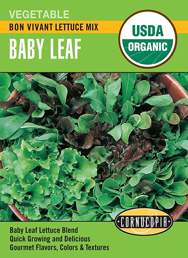 Organic Lettuce Bon Vivant - Cornucopia Seeds