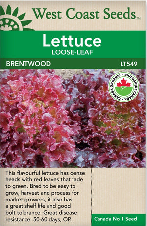 Organic Lettuce Brentwood - West Coast Seeds