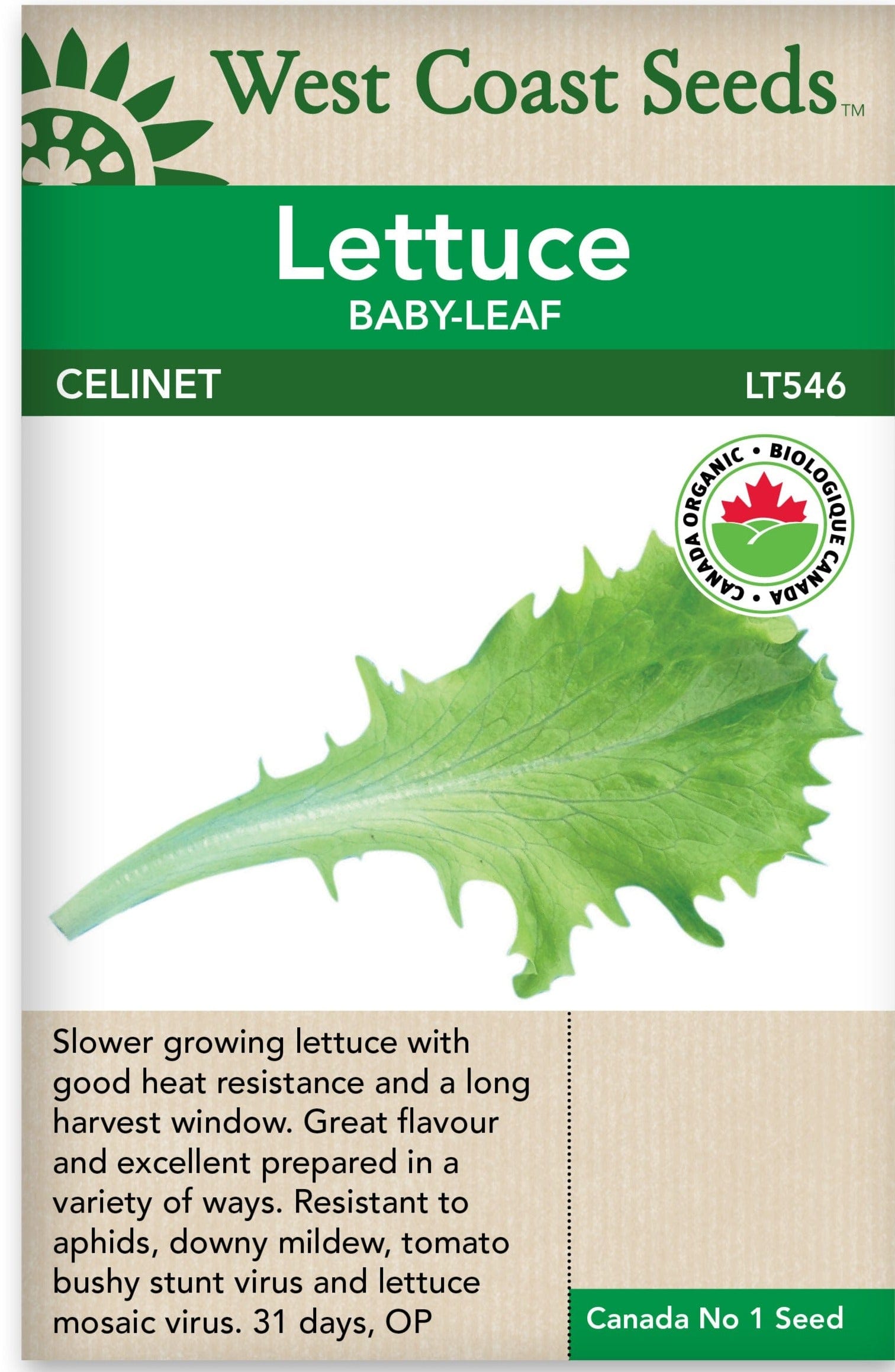 Organic Lettuce Celinet - West Coast Seeds