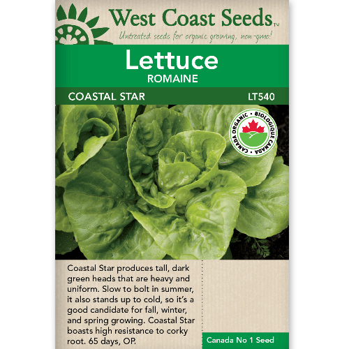 Lettuce Coastal Star Organic - West Coast Seeds