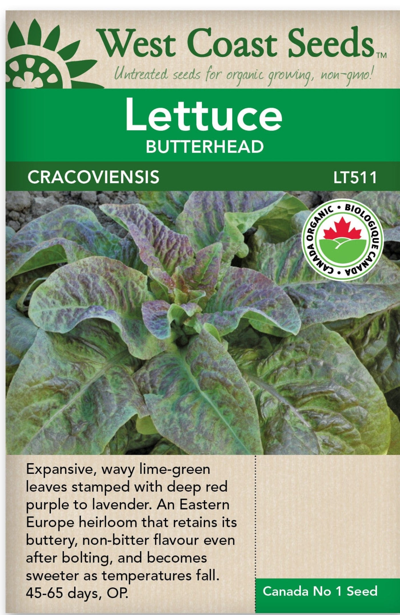 Organic Lettuce Cracoviensis - West Coast Seeds
