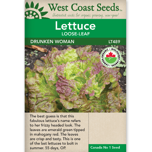 Lettuce Drunken Woman Organic - West Coast Seeds