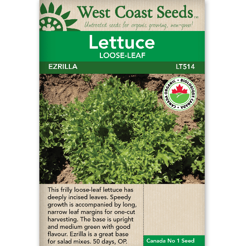Lettuce Ezrilla Loose-Leaf Organic - West Coast Seeds